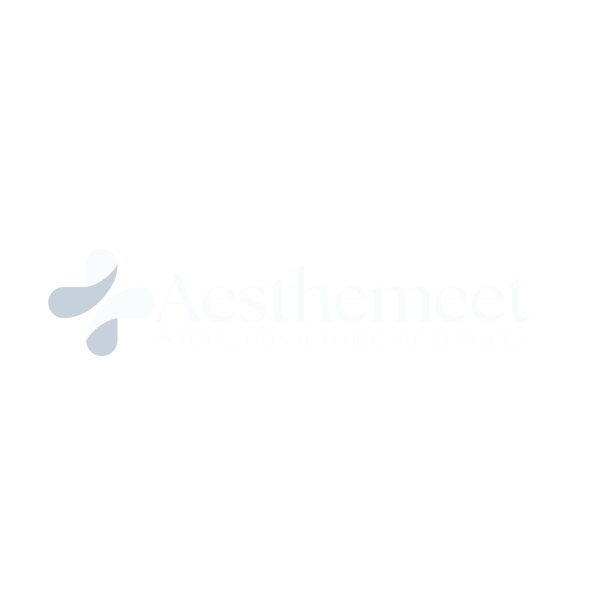 Aesthemeet International Haircare Services